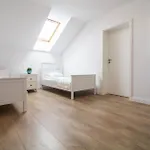 公寓 Apartament Wladyslawowo